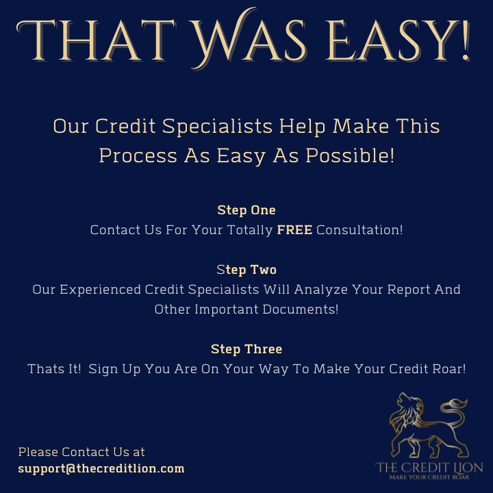 The Credit Lion Image